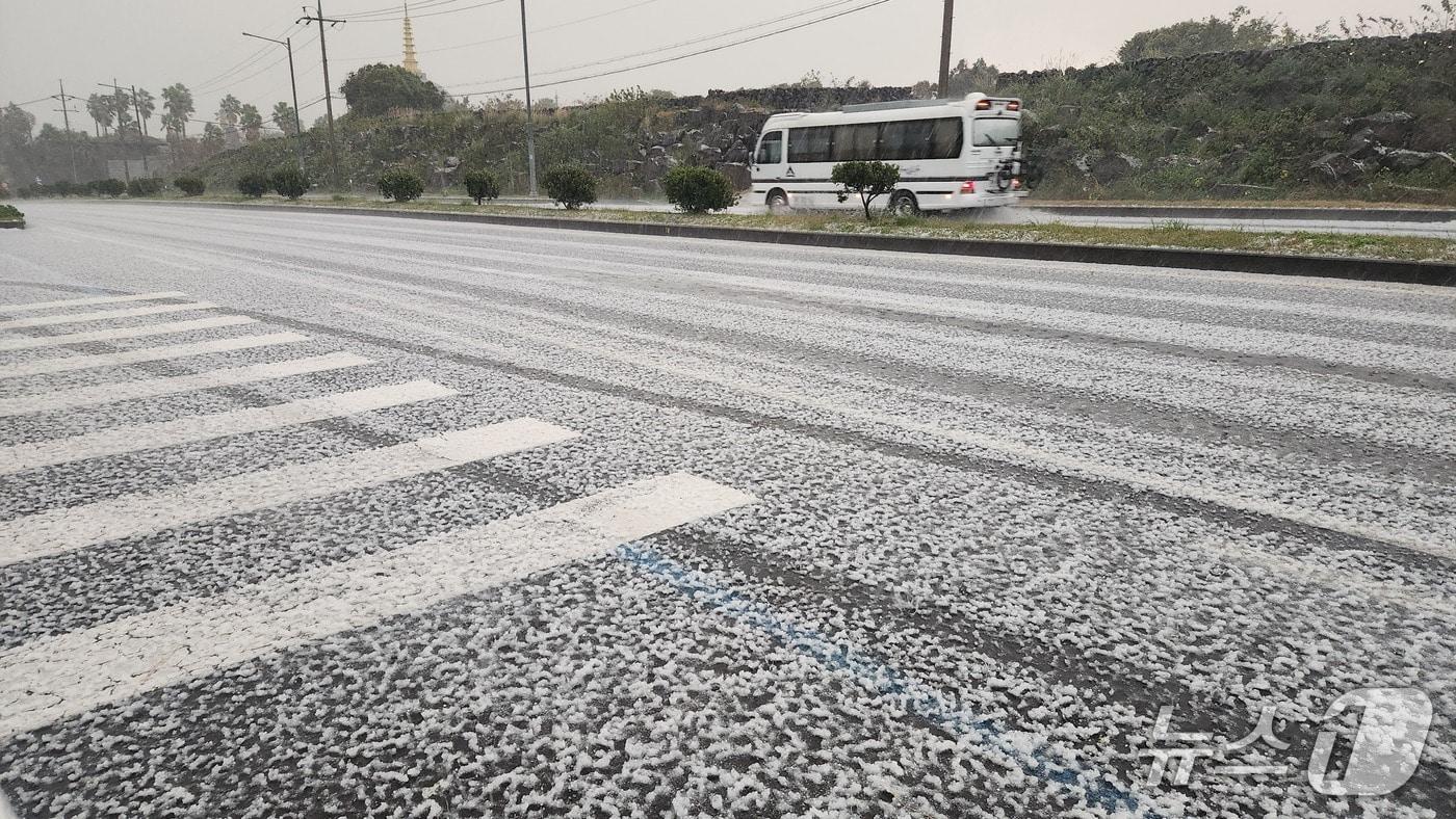 25일 오전 8시 40분쯤 제주시 조천읍에 내린 싸락우박이 도로에 쌓여 있다.(독자제공, 재판매 및 DB 금지)/뉴스1 