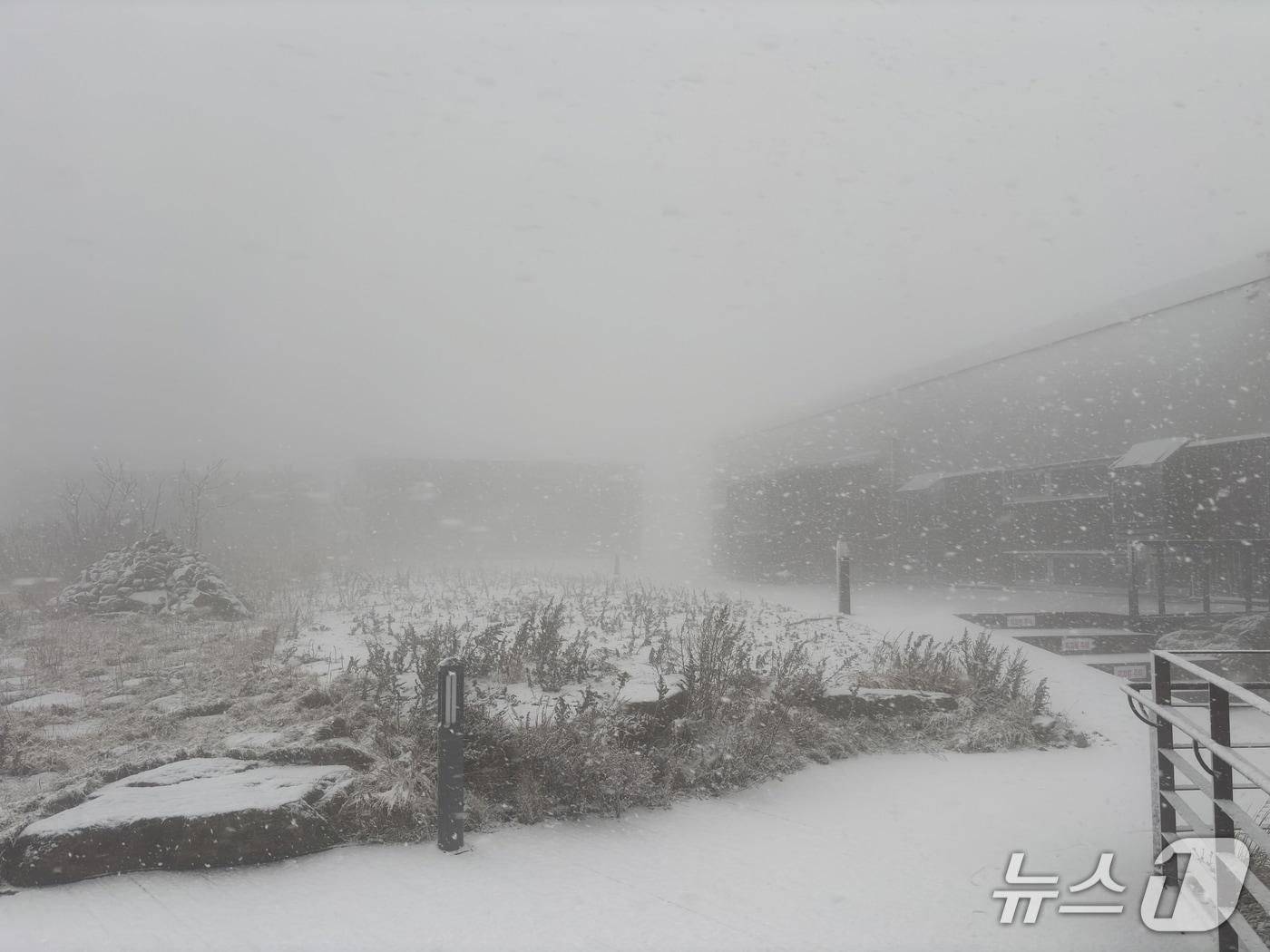 본문 이미지 - 소백산 2연화봉 대피소.(소백산국립공원북부사무소 제공. 재판매 및 DB금지) /뉴스1   