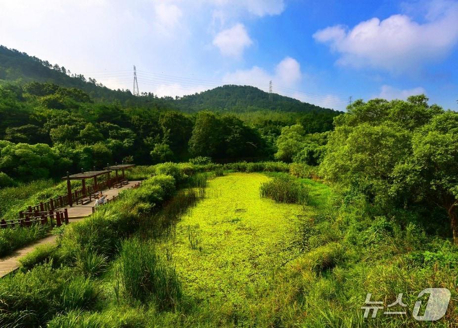 본문 이미지 - 전북 고창군에 소재한 운곡습지.&#40;고창군제공, 재판매 및 DB금지&#41;2025.11.25/뉴스1