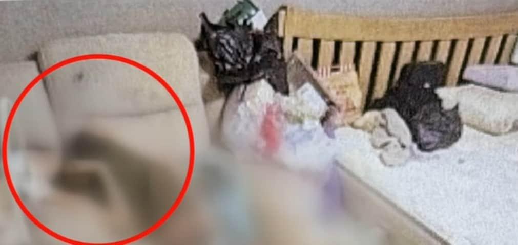 본문 이미지 - 유족이 공개한 구더기 아내가 발견된 장소. (JTBC 뉴스 갈무리)