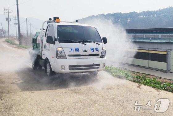 본문 이미지 - 방역 차량이 방역 중인 모습. (사진은 기사 내용과 무관함) / 뉴스1 ⓒ News1