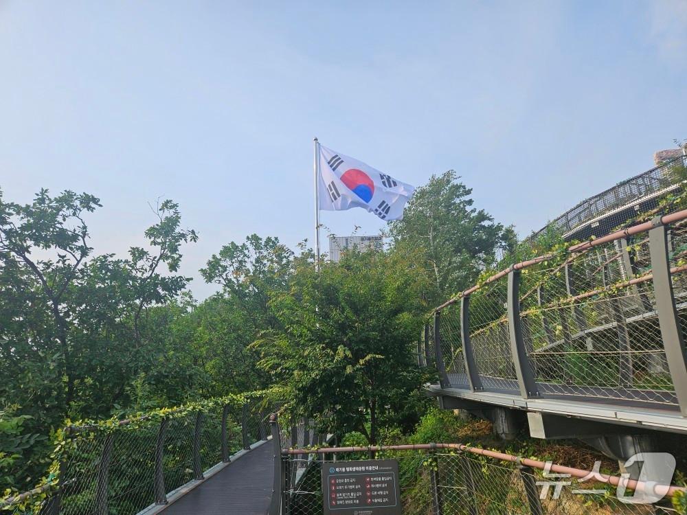 본문 이미지 - 애기봉평화생태공원에 설치된 태극기&#40;김포시문화재단 제공.재판매 및 DB금지&#41;