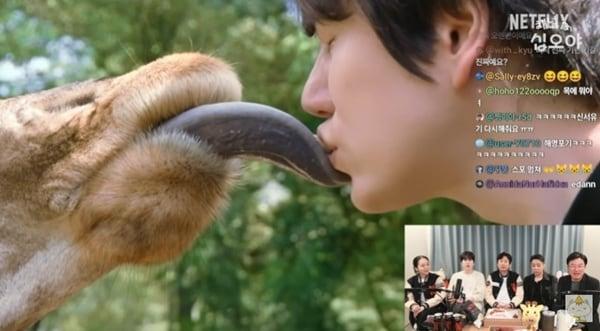 본문 이미지 - 유튜브 채널 '채널십오야' 캡처