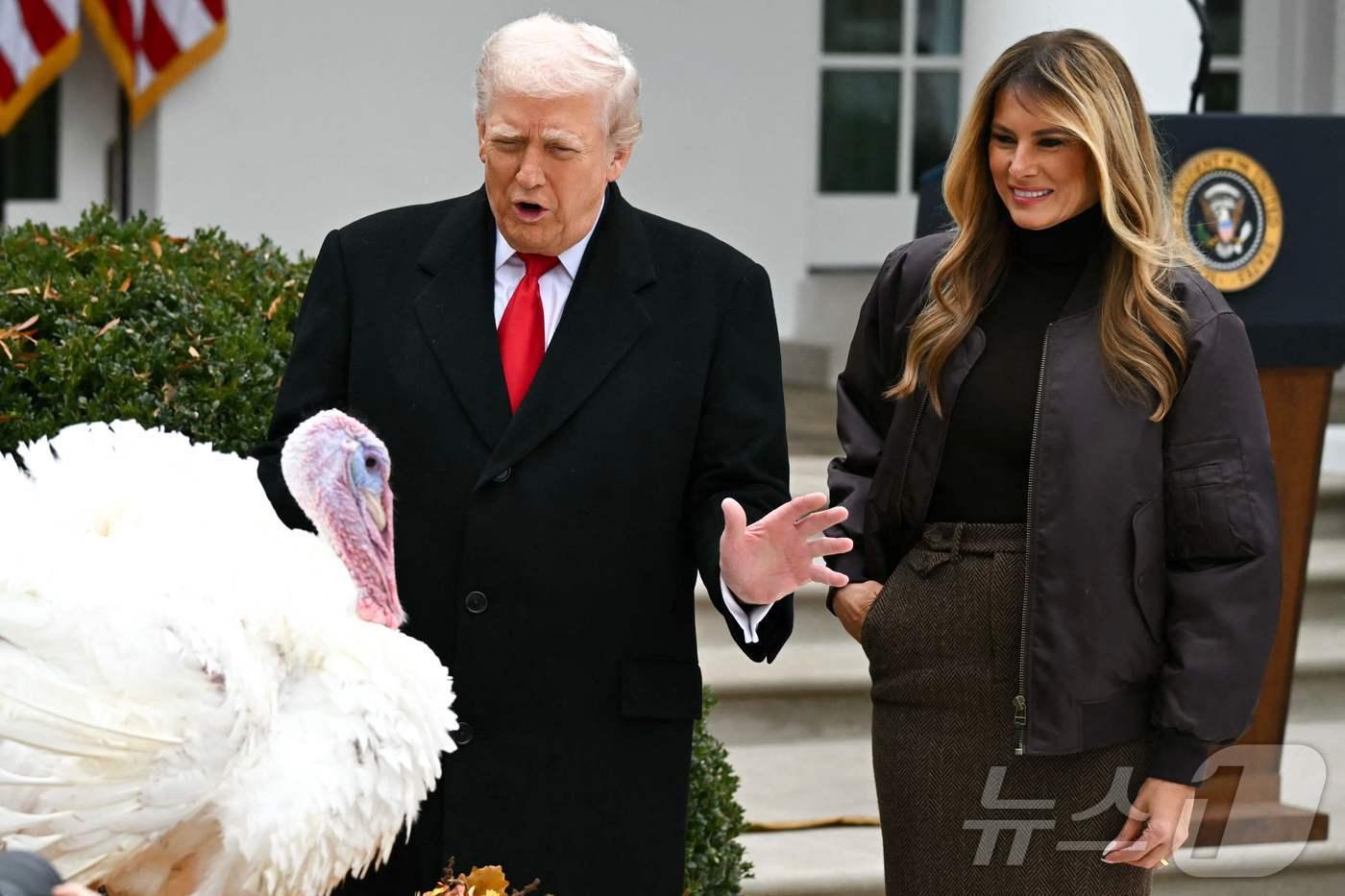 25일&#40;현지시간&#41; 워싱턴 DC 백악관 로즈 가든에서 열린 &#39;칠면조 사면식&#39;에서 도널드 트럼프 미국 대통령이 고블을 사면하는 모습을 멜라니아 트럼프 여사가 지켜보고 있다. 2025.11.25. ⓒ AFP=뉴스1 ⓒ News1 이정환 기자