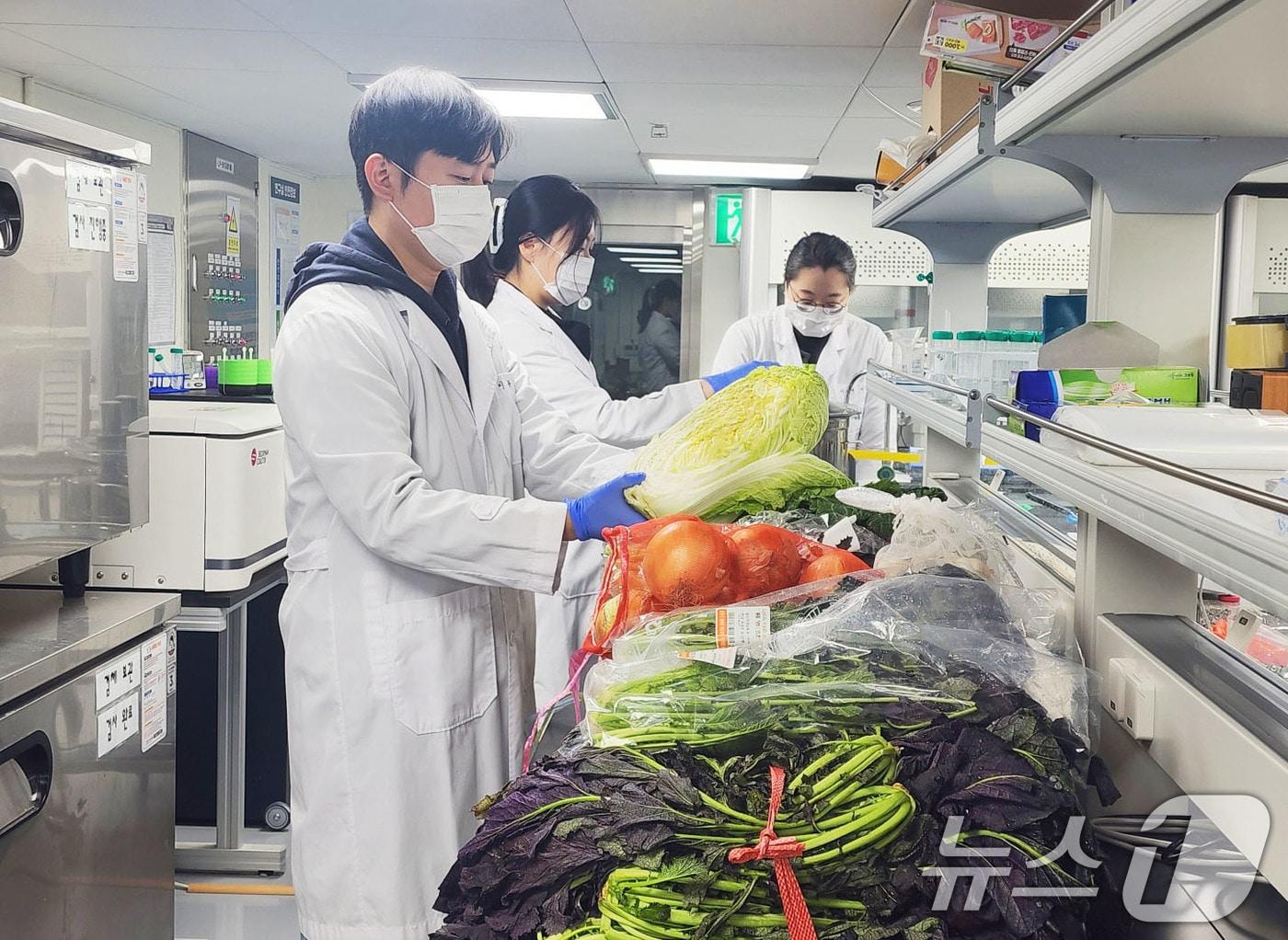 본문 이미지 - 광주시 보건환경연구원 농산물 잔류농약 검사.&#40;광주시 제공. 재판매 및 DB 금지&#41; 