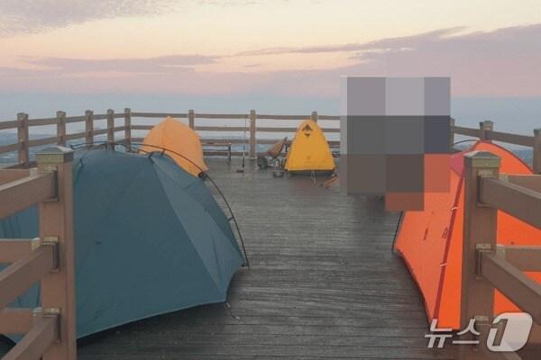 본문 이미지 - 제주도청 게시판에 올라온 노꼬메오름 캠핑 사진(제주도청 게시판 갈무리.재판매 및 DB금지)/뉴스1 