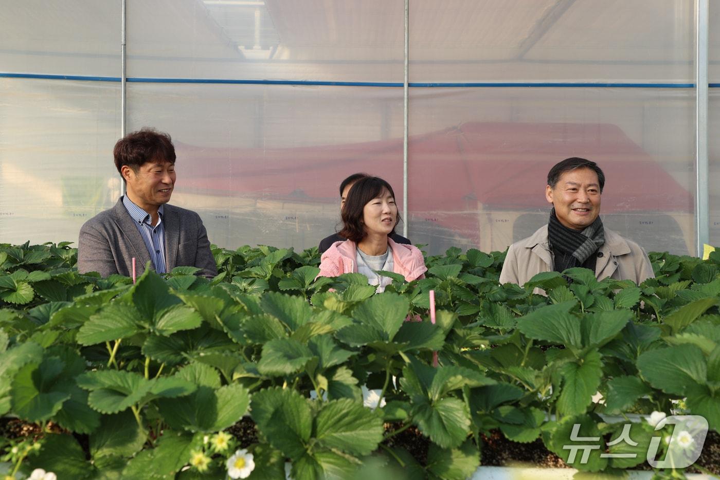 26일 전춘성 전북 진안군수(오른쪽 첫번째)가 부귀면 일원의 딸기와 샤인머스캣 재배 농가를 방문해 애로사항을 청취하고 있다.(진안군제공. 재판매 및 DB금지)2025.11.26/뉴스1