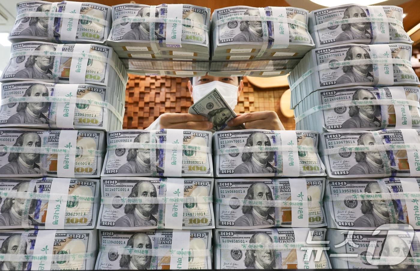  26일 서울 중구 하나은행 위변조대응센터에서 직원이 달러화를 정리하는 모습. 2025.11.26/뉴스1 ⓒ News1 허경 기자