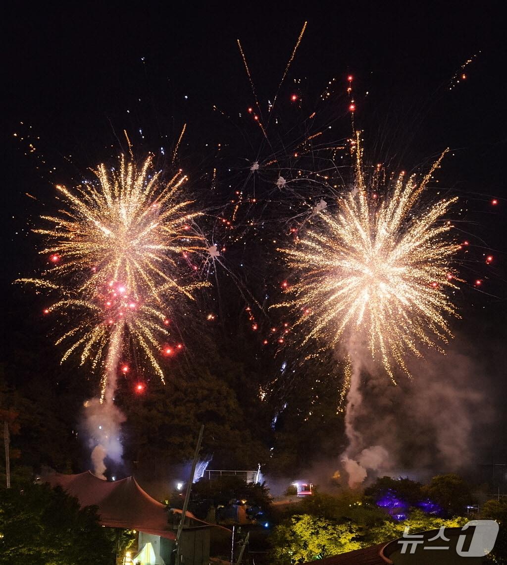 본문 이미지 - 대전오월드는 오는 29일 올해 마지막 불꽃쇼를 진행한다. &#40;대전도시공사 제공&#41; / 뉴스1
