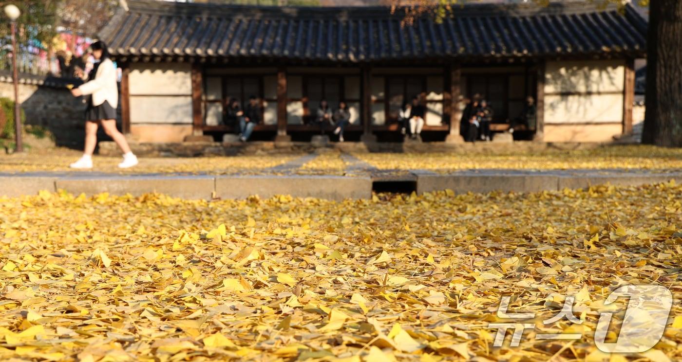 26일 전북 전주시 전주향교를 찾은 시민과 관광객들이 떨어진 은행나무 낙엽을 보며 늦가을 정취를 만끽하고 있다. 2025.11.26/뉴스1 ⓒ News1 유경석 기자