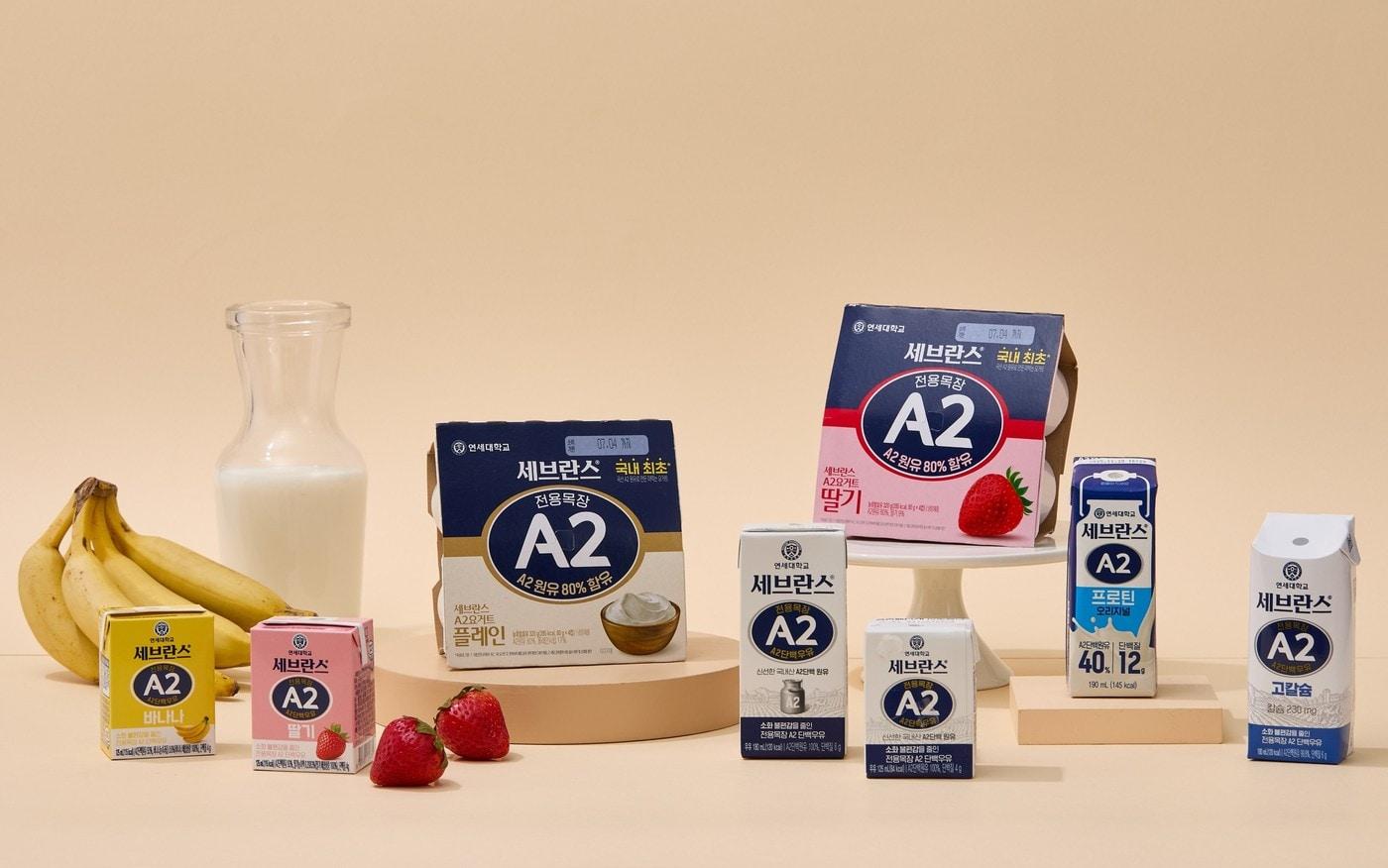 A2우유 활용 제품 라인업.&#40;연세유업 제공&#41;