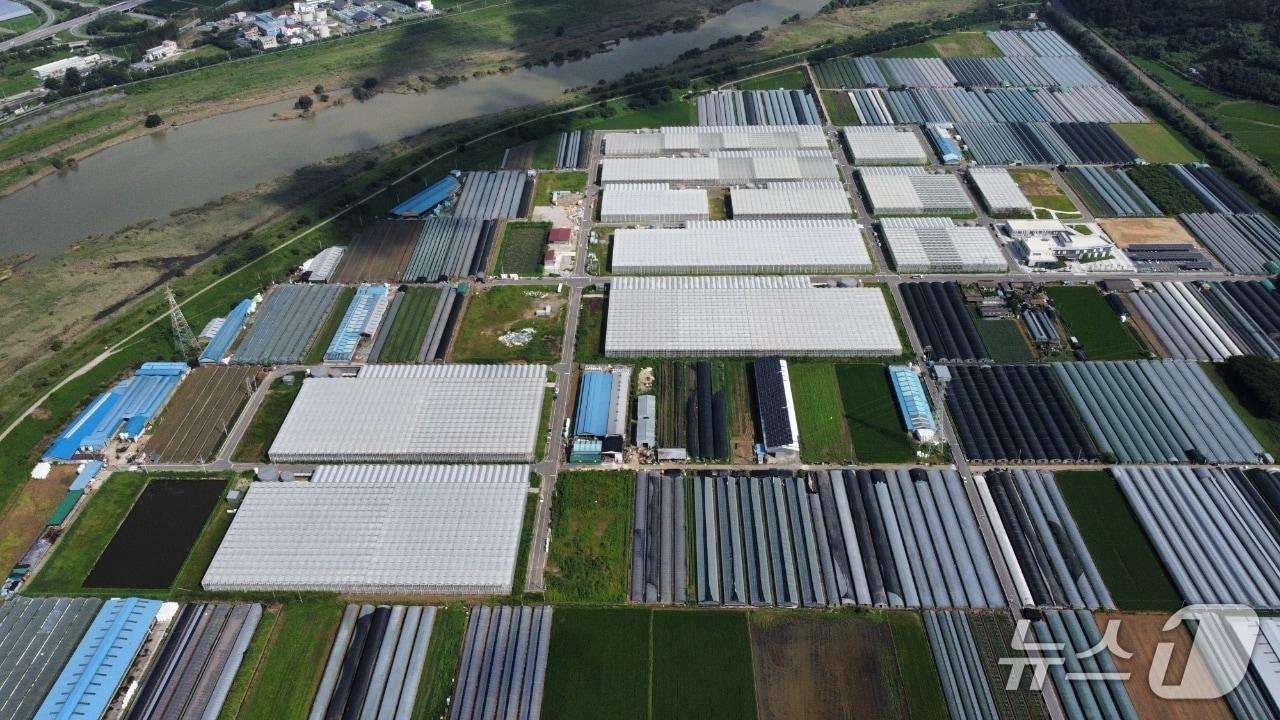 본문 이미지 - 도내 한 집단화 하우스 항공사진(경남도 제공. 재판매 및 DB금지)