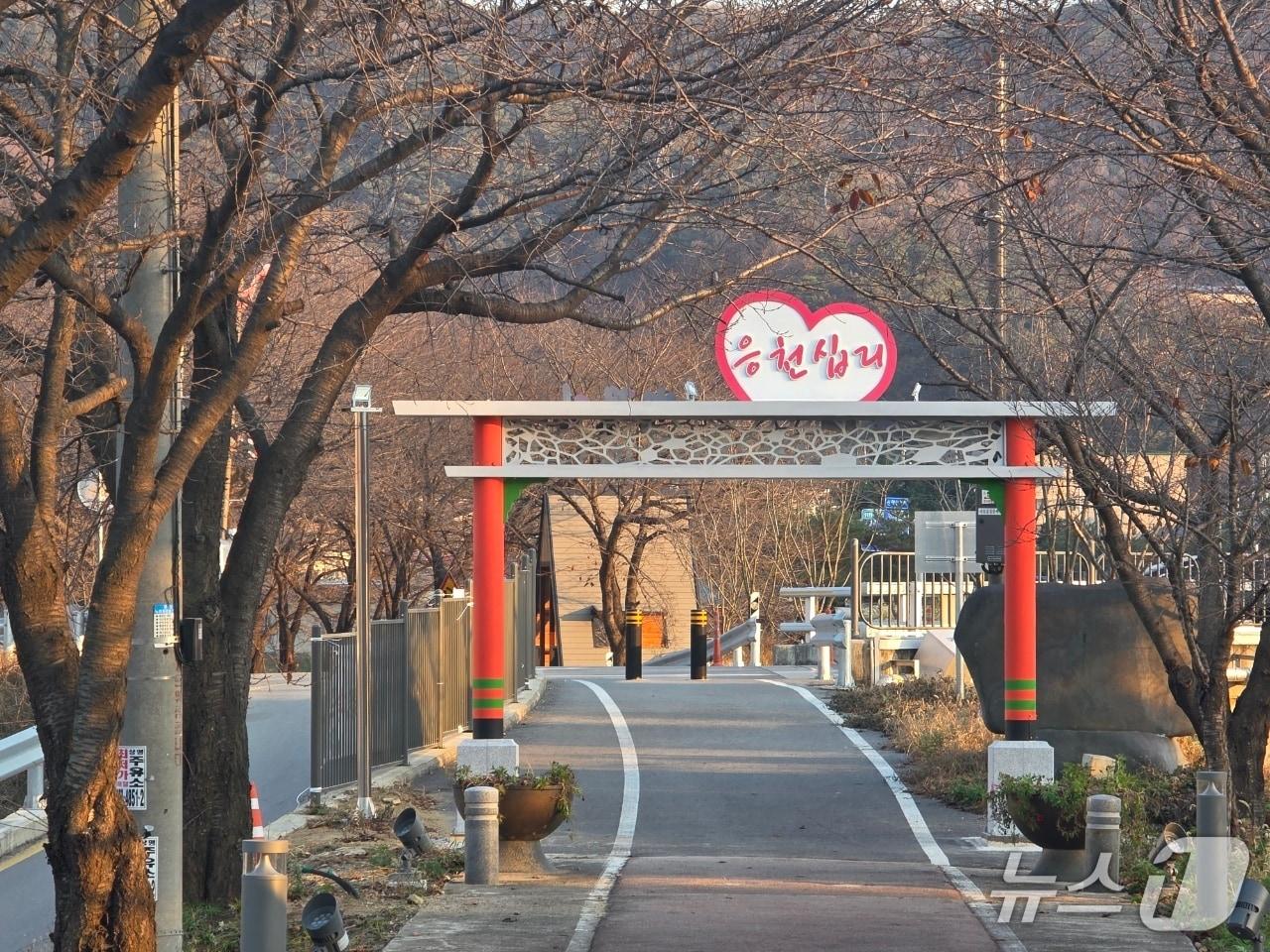 본문 이미지 - 음성군 생극면 응천 십리벚꽃길 전경.&#40;음성군 제공. 재판매 및 DB금지&#41;/뉴스1 