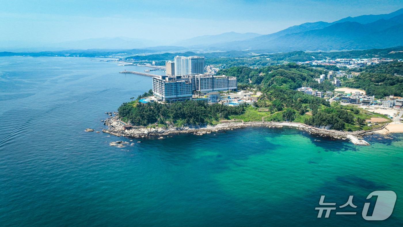 본문 이미지 - 강원 속초 바다향기로 전경.(속초시 제공, 재판매 및 DB 금지) 2025.11.27/뉴스1