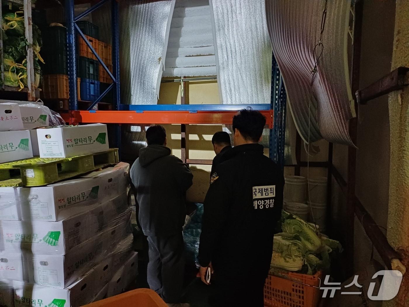 본문 이미지 - 27일 속초해경이 유관기관과 관내 농수산물 유통업체를 대상으로 원산지 특별단속을 벌이고 있다.&#40;속초해경 제공, 재판매 및 DB 금지&#41; 2025.11.27/뉴스1