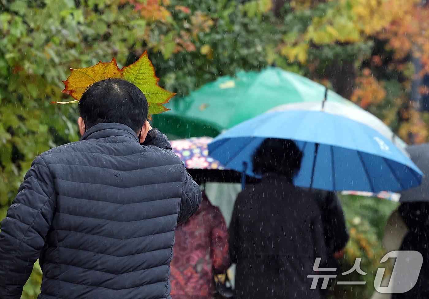 한 시민이 나뭇잎으로 비를 막으며 발걸음을 옮기고 있다.(사진은 기사 내용과 무관함) / 뉴스1 ⓒ News1