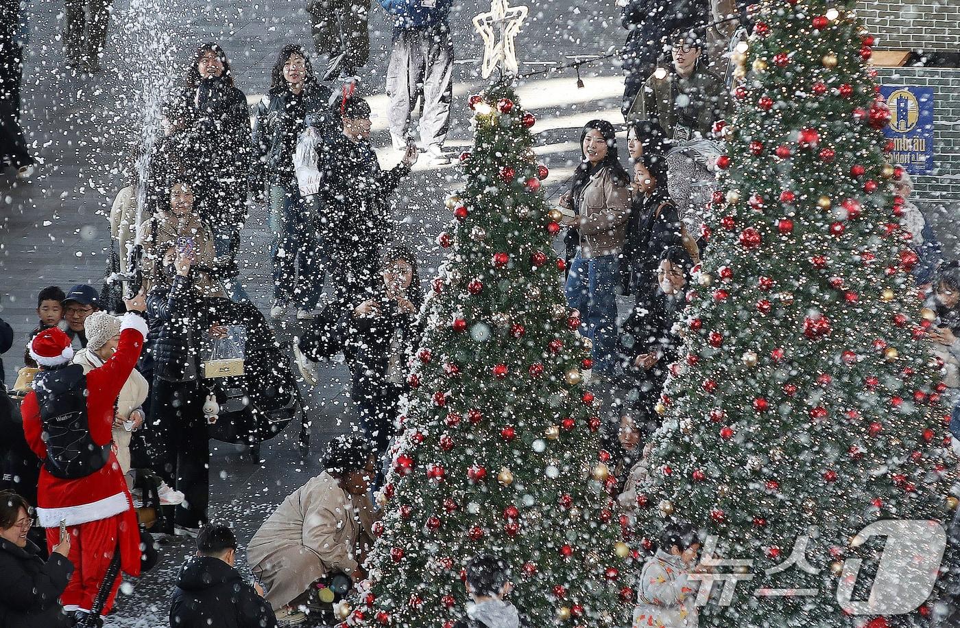 크리스마스 트리 자료사진 ⓒ News1 윤일지 기자