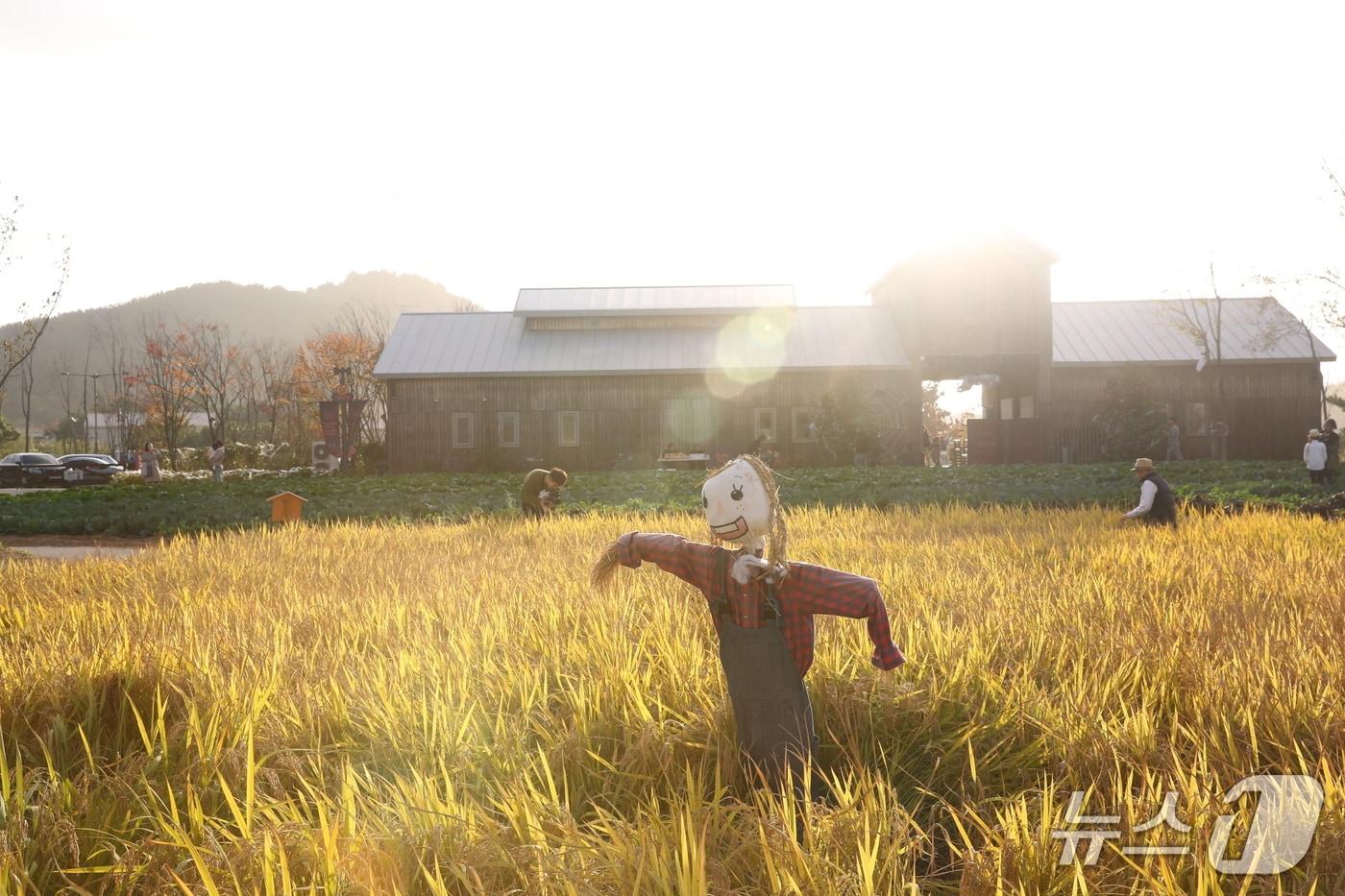  &#39;2025 한국관광의 별&#39; 지역상생관광모델 분야에 선정된 전북 고창 상하농원의 가을 전경.&#40;고창군 제공. 재판매 및 DB금지&#41;/뉴스1