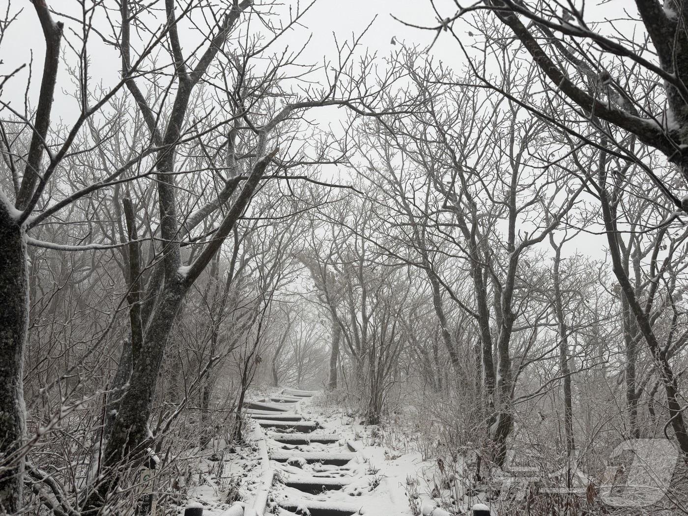 본문 이미지 - 눈이 내린 전북 무주군의 덕유산의 모습.&#40;덕유산국립공원사무소 제공. 재판매 및 DB 금지&#41; 2025.11.27/뉴스1 ⓒ News1 장수인 기자
