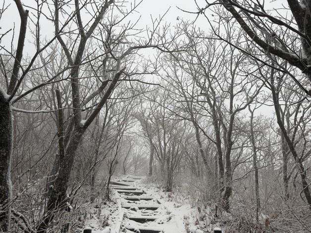 본문 이미지 - 눈이 내린 전북 무주군의 덕유산의 모습.(덕유산국립공원사무소 제공. 재판매 및 DB 금지) 2025.11.27/뉴스1 