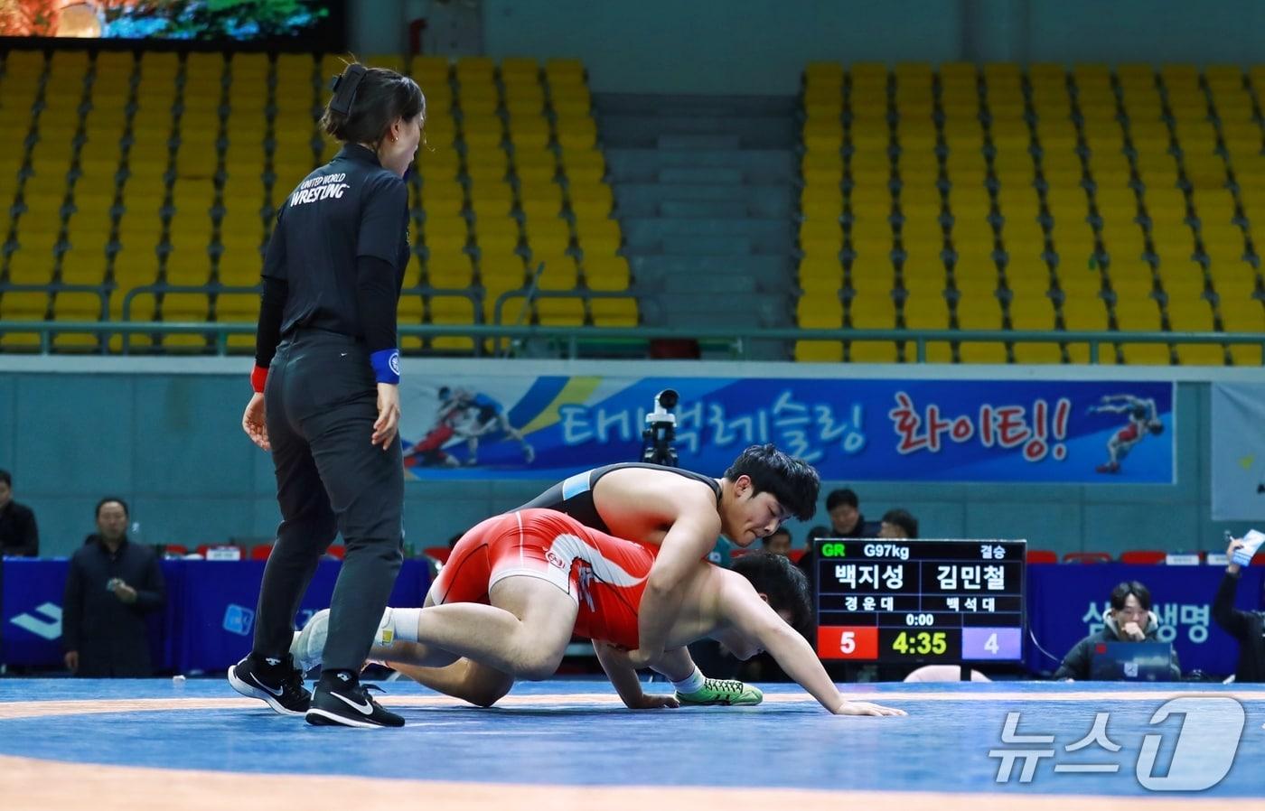 기사 이해를 돕기 위한 레슬링 대회 자로 사진으로, 기사 내용과 직접 관련 없음. &#40;태백시 제공. 재판매 및 DB금지&#41; 2025.11.27/뉴스1