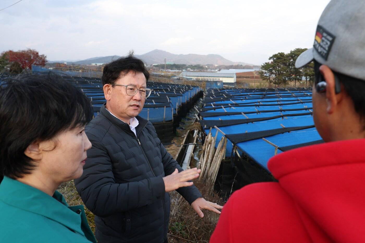 인삼 재배 시설 점검 (농촌진흥청 제공) 2025.11.27/뉴스1