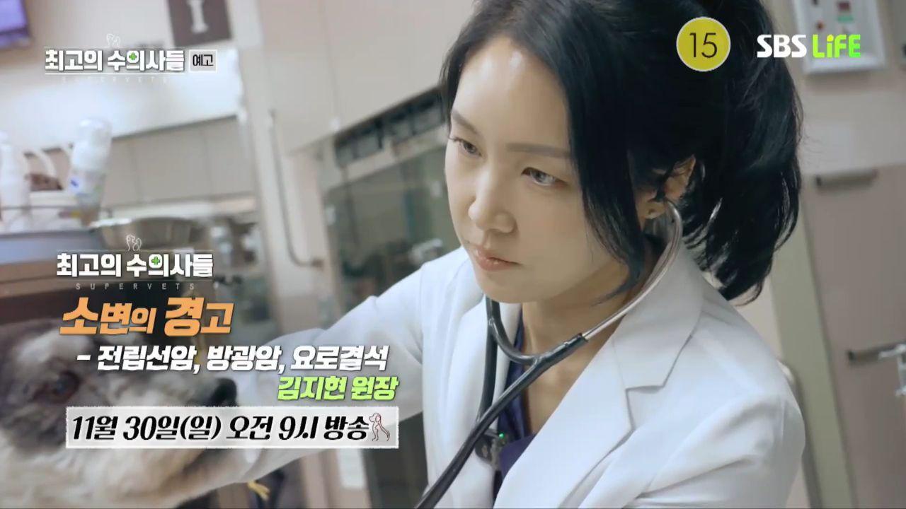 본문 이미지 - 최고의 수의사들 한 장면 ⓒ 뉴스1