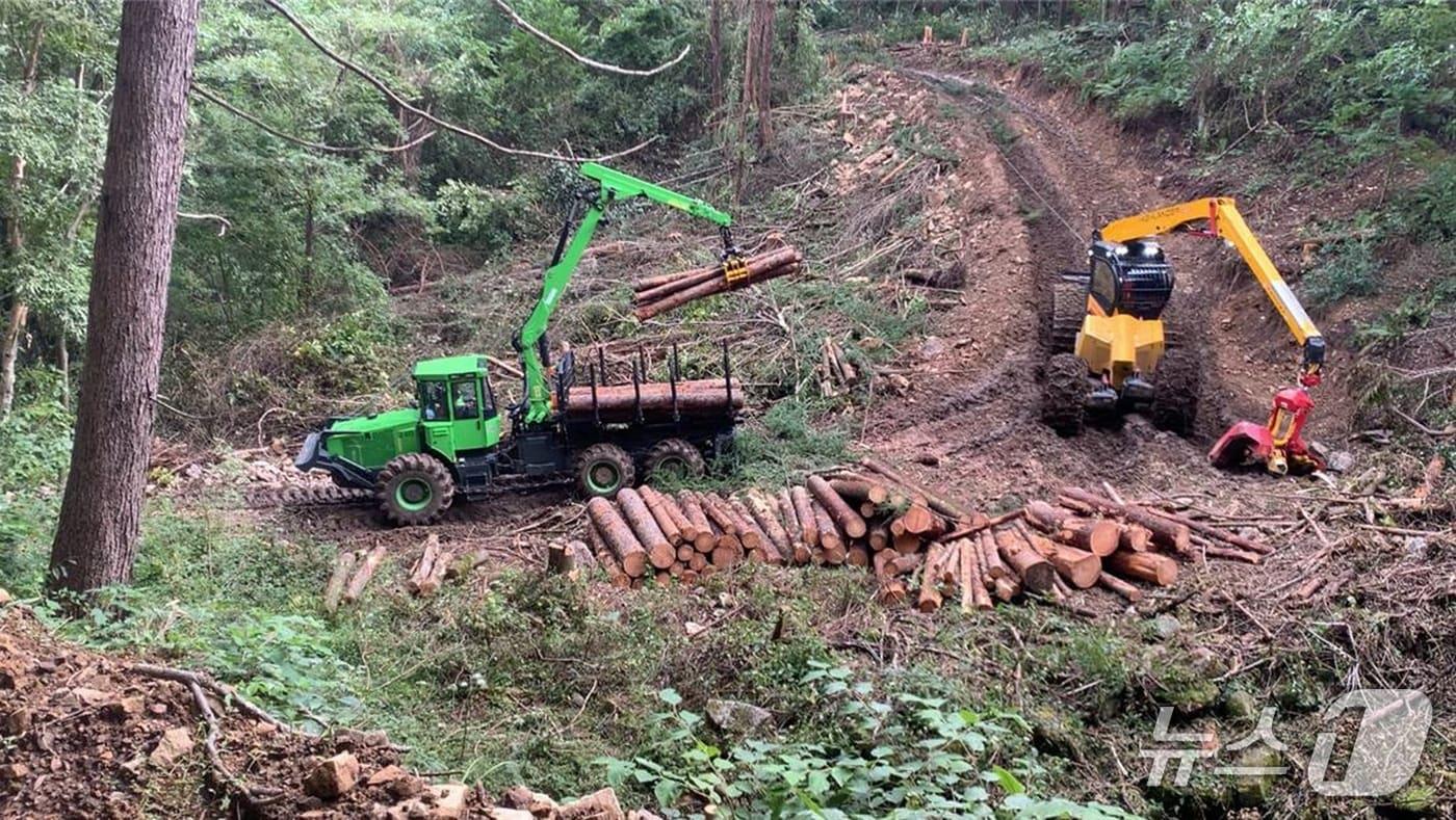 목재 수확지 전경.&#40;동부산림청 제공, 재판매 및 DB 금지&#41;