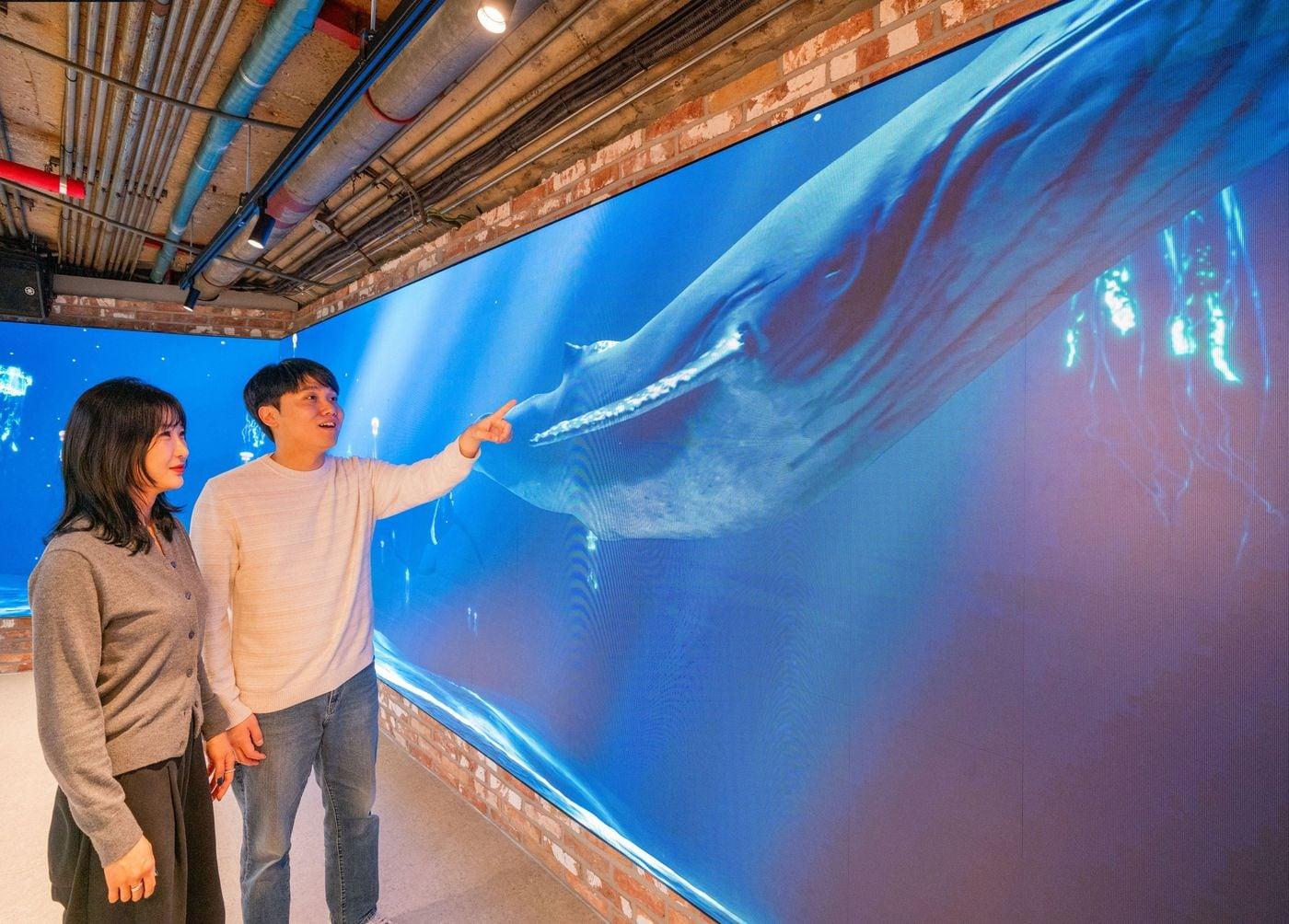 본문 이미지 - &#40;서울시 제공&#41;