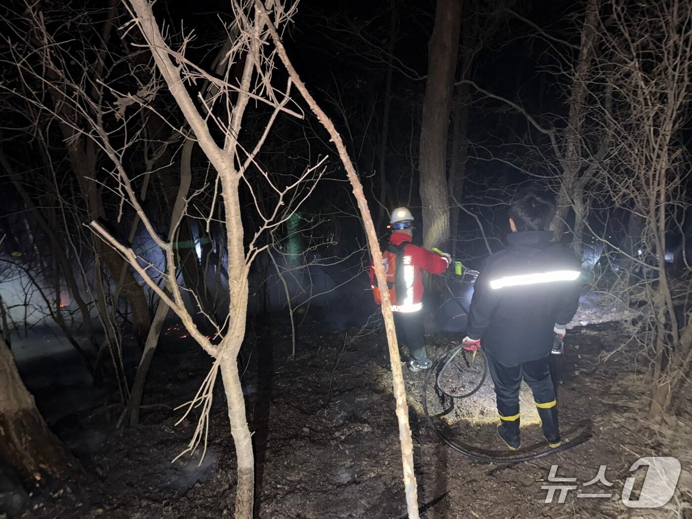 본문 이미지 -  태안 안면읍 승언리 산불 진화 현장. (산림청 제공, 재판매 및 DB금지) / 뉴스1