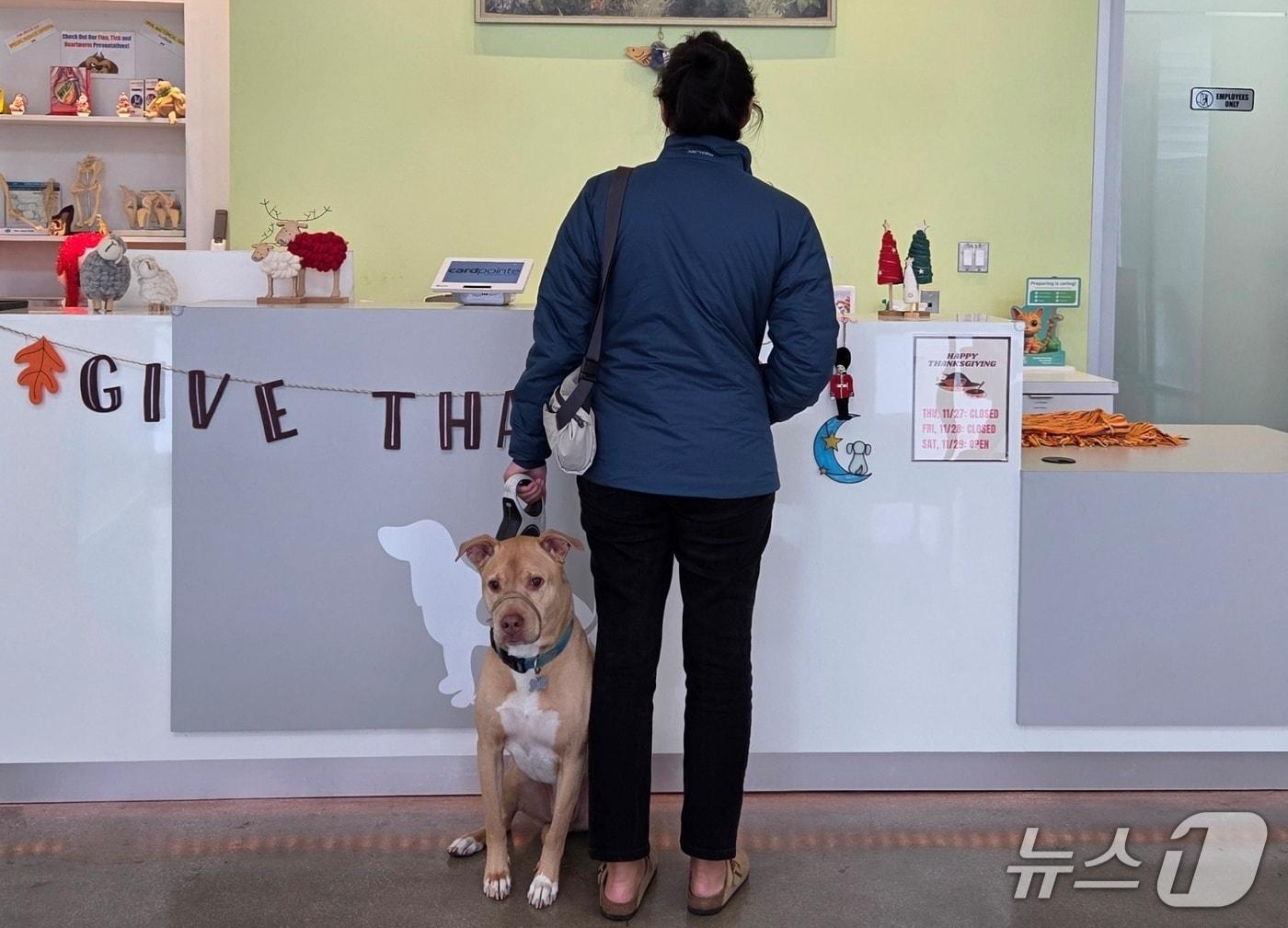 본문 이미지 - 한인 수의사가 운영하는 미국 동물병원 모습 ⓒ 뉴스1