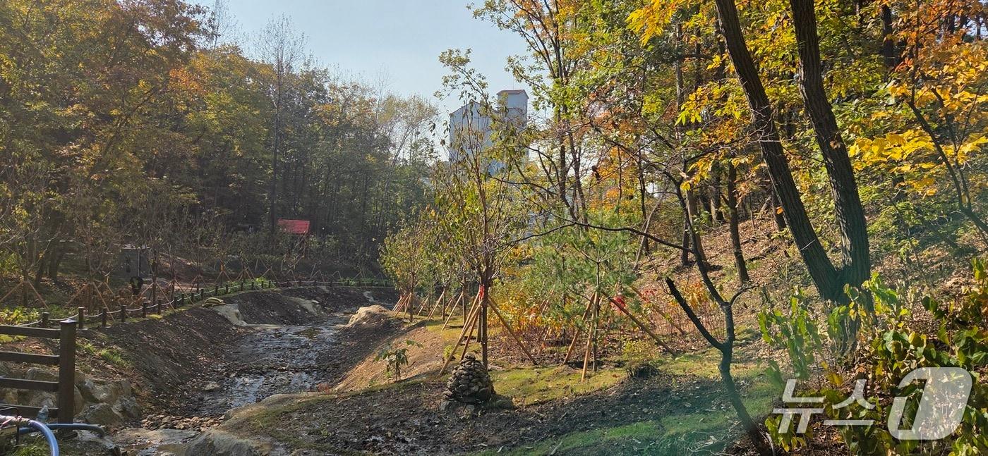 본문 이미지 - 용인시가 수지구 죽전동 대지산에 조성한 '도시 숲' 모습.(용인시 제공)
