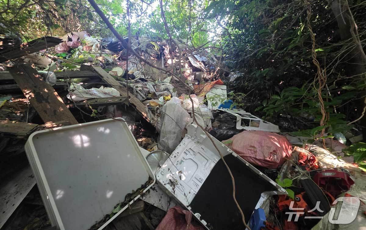 본문 이미지 -  제주의 한 곶자왈 지대에 방치된 불법폐기물(곶자왈사람들 제공. 재판매 및 DB 금지)/뉴스1