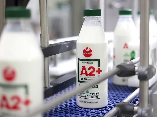 본문 이미지 - 서울우유 A2+ 우유.&#40;서울우유 제공&#41;