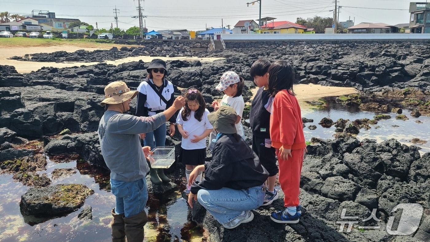 제주시 평대초등학교 3학년 학생들이 이번 학기에 진행했던 &#39;평대생태탐험대&#39; 수업.&#40;평대초등학교 제공&#41;