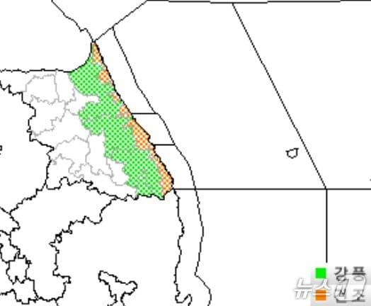 본문 이미지 - 기상청의 강원지역 특보 발효 현황 그래픽. &#40;기상청 홈페이지 갈무리. 재판매 및 DB금지&#41; 2025.11.29/뉴스1