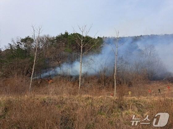 본문 이미지 -  자료사진/뉴스1