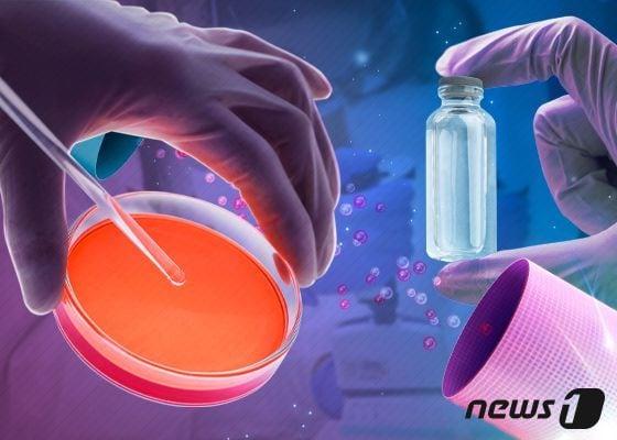 본문 이미지 - News1 DB