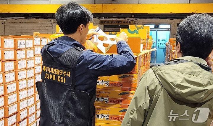 본문 이미지 - 상품외감귤 단속 현장.(제주특별자치도 제공, 재판매 및 DB 금지)