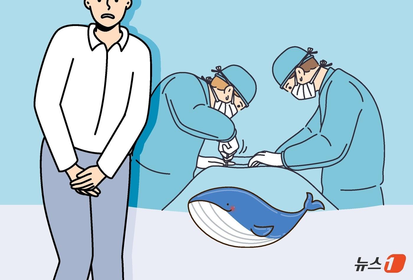 ⓒ News1 윤주희 디자이너