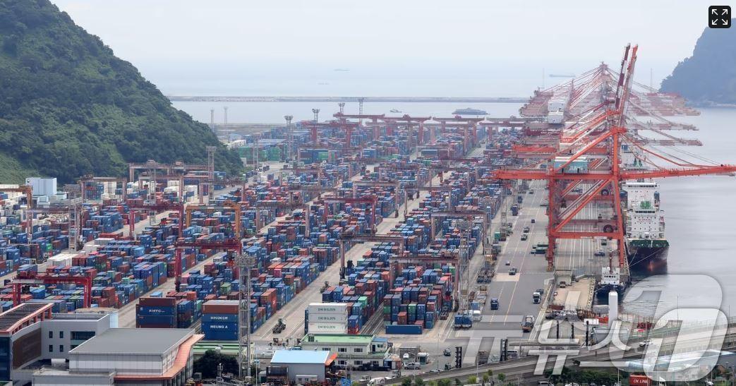 본문 이미지 - 부산항 신선대부두 야적장에 컨테이너가 가득 쌓여 있는 모습. ⓒ News1 윤일지 기자
