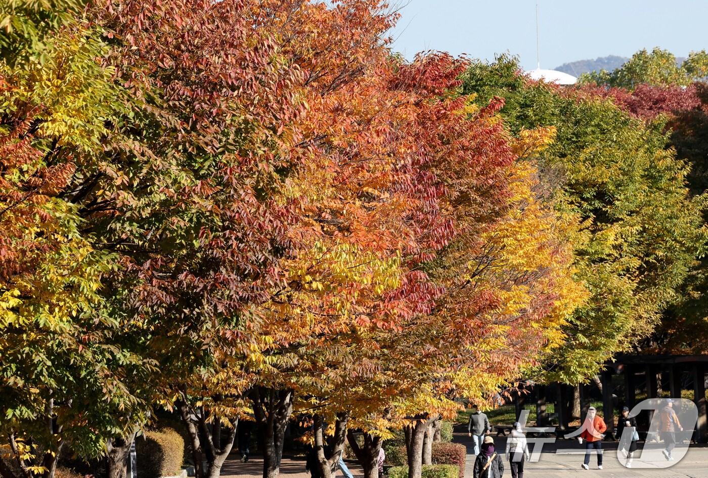 지난 3일 오후 서울 송파구 올림픽공원을 찾은 시민들이 단풍이 든 산책로를 걷고 있다. 2025.11.3/뉴스1 ⓒ News1 장수영 기자