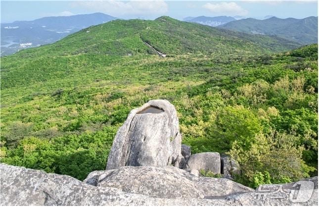본문 이미지 - 금정산 전경.(부산시 제공. 재판매 및 DB금지)