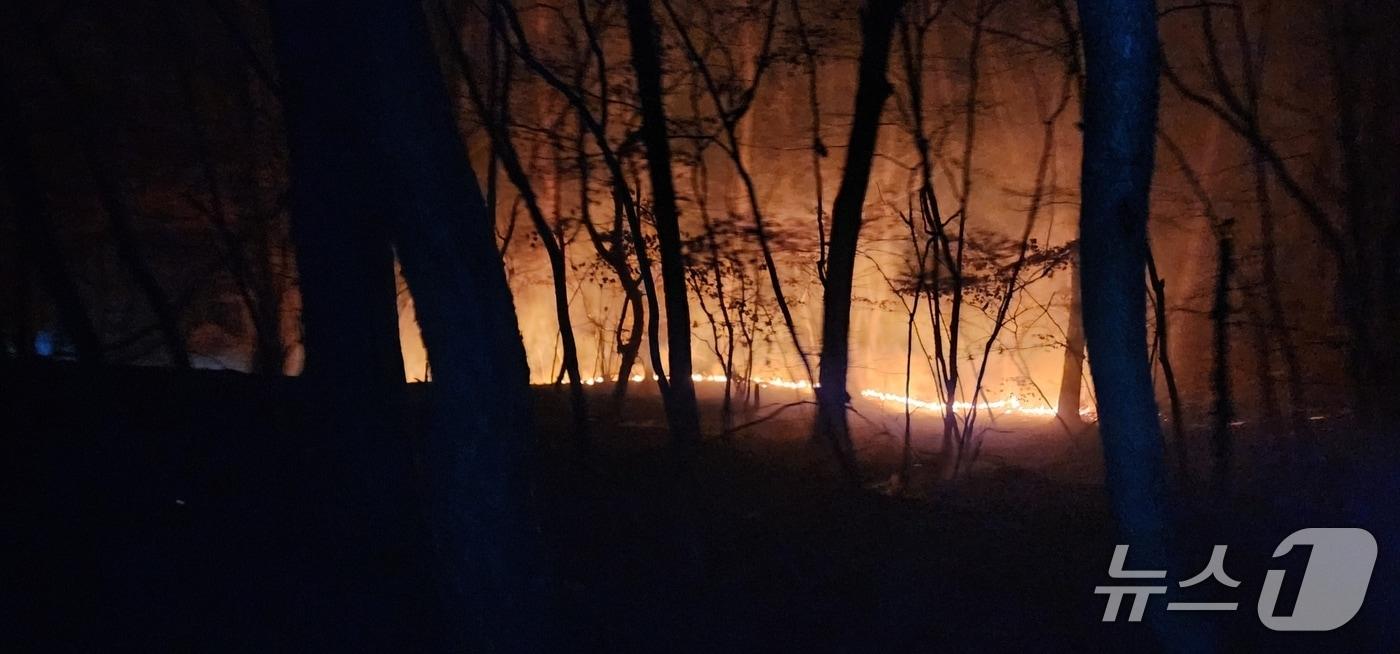  공주시 계룡면 하대리 계룡산 산불 현장. (산림청 제공, 재판매 및 DB금지) / 뉴스1