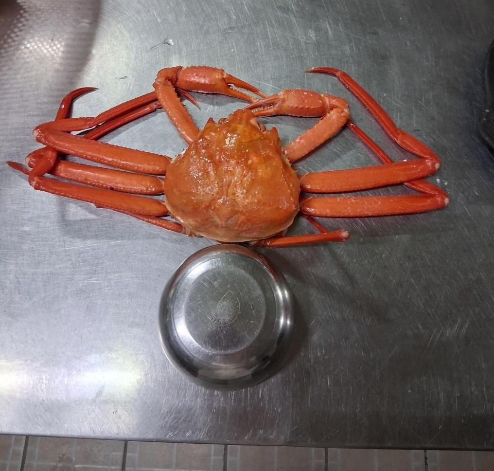 본문 이미지 - 속초 현지에서 홍게 가격 부풀리기 피해를 당한 피해자가 공개한 사진. 출처=보배드림