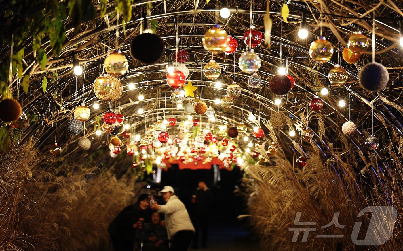29일 전남 함평군에서 진행한 &#39;2025 함평 겨울빛축제&#39;를 찾은 관광객이 기념 사진을 찍고 있다.&#40;함평군 제공. 재판매 및 DB금지&#41; 2025.11.30/뉴스1 