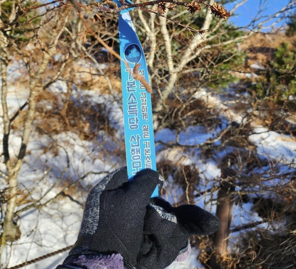 본문 이미지 - '기본소득당 산행 모임' 띠지가 지리산에서 수십개 발견돼 자연훼손 논란이 일고 있다. 출처=보배드림