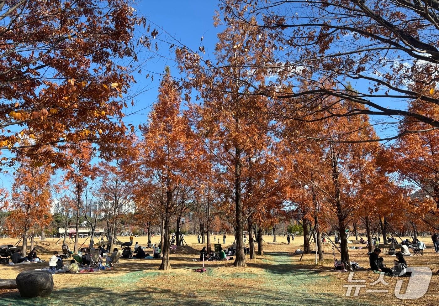 30일 부산시민공원 잔디광장 모습. 막바지 가을 나들이를 즐기고자 하는 시민들의 발길이 이어졌다. 2025.11.30 ⓒ 뉴스1 홍윤 기자
