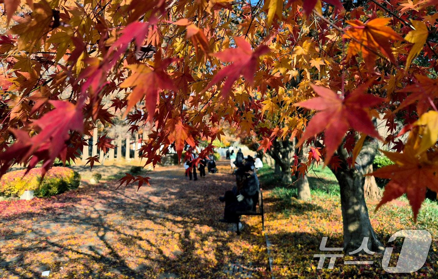 자료사진/뉴스1 ⓒ News1