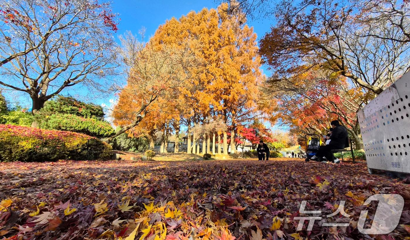 온화한 가을 날씨를 보인 30일 전북 전주시 전주동물원을 찾은 시민들이 낙엽이 깔린 단풍길에서 늦가을 정취를 만끽하고 있다. 2025.11.30/뉴스1 ⓒ News1 유경석 기자